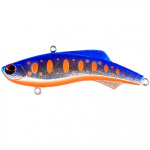 MADNESS Shiriten Vibe