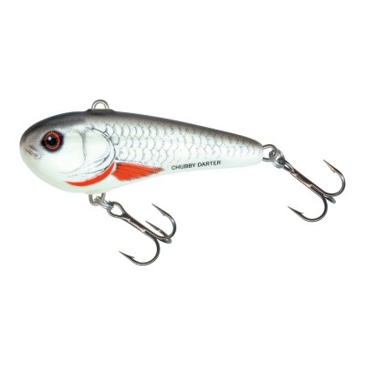 Salmo Chubby Darter