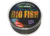 EastShark BigFish