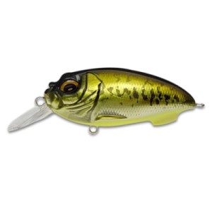 Megabass  Cyclone