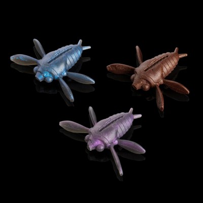Soorex Cicada