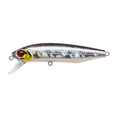 Pontoon21 Dexter Minnow