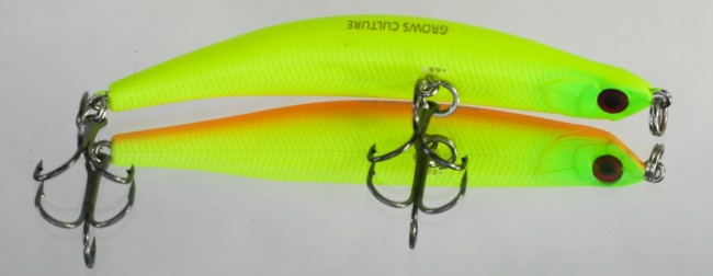 Grows Culture Bent Minnow