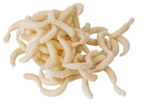 Опарыш искусственный  Maggot