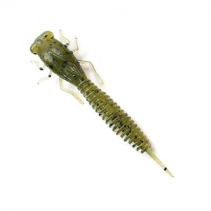 Fanatik Larva