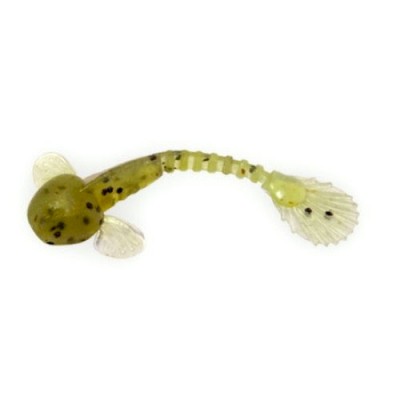 Fanatik Goby