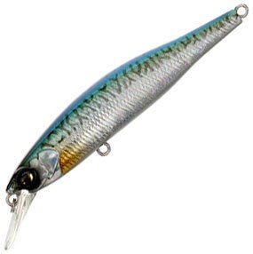 OWNER CT Minnow