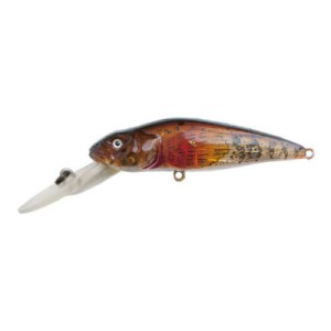 ASAKURA BullHead