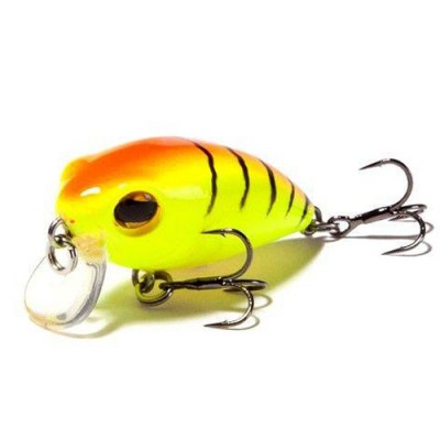 RENEGADE Dodger SR