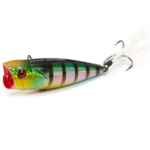 Grows Culture Grande