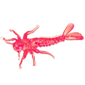 Microkiller Подёнка