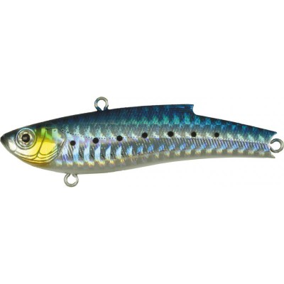 BASSDAY Range Vib