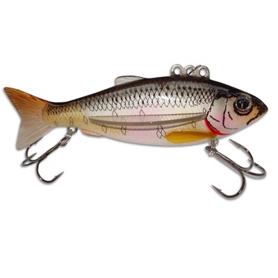 IZUMI Fly Roach