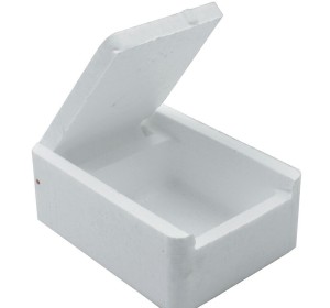 Мотыльница